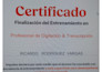provide spanish academic seminars conferences transcription